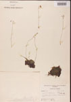 000000873-thumbnail.jpg