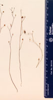000000877-thumbnail.jpg