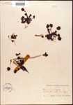 000000878-thumbnail.jpg