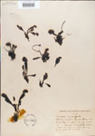 000000879-thumbnail.jpg