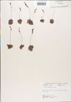 000000890-thumbnail.jpg