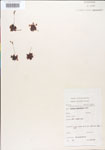000000891-thumbnail.jpg
