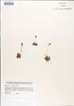 000000892-thumbnail.jpg