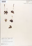 000000897-thumbnail.jpg