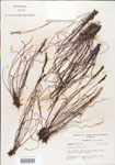 000000906-thumbnail.jpg
