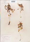 000000908-thumbnail.jpg