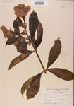 000000920-thumbnail.jpg