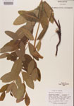 000000922-thumbnail.jpg