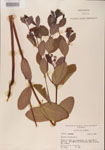 000000928-thumbnail.jpg