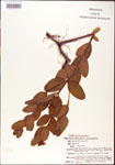 000000933-thumbnail.jpg