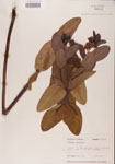 000000934-thumbnail.jpg