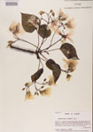 000000944-thumbnail.jpg