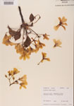 000000951-thumbnail.jpg