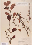 000000957-thumbnail.jpg