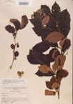 000000963-thumbnail.jpg