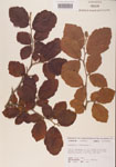 000000968-thumbnail.jpg