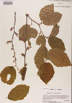 000000977-thumbnail.jpg