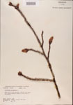 000001006-thumbnail.jpg