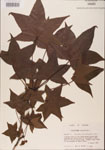 000001014-thumbnail.jpg