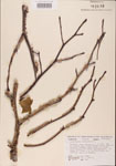 000001015-thumbnail.jpg