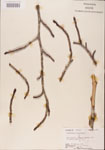 000001023-thumbnail.jpg