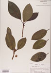 000001053-thumbnail.jpg