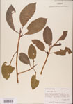 000001054-thumbnail.jpg