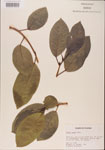 000001056-thumbnail.jpg