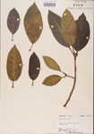 000001057-thumbnail.jpg