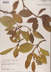 000001058-thumbnail.jpg