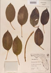 000001059-thumbnail.jpg