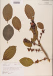 000001061-thumbnail.jpg