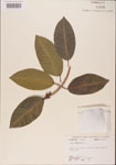 000001063-thumbnail.jpg