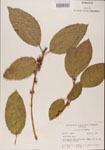 000001066-thumbnail.jpg