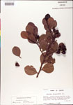 000001070-thumbnail.jpg