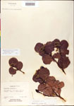 000001072-thumbnail.jpg