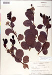 000001073-thumbnail.jpg