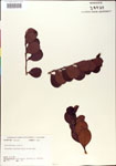 000001074-thumbnail.jpg