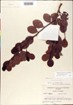 000001075-thumbnail.jpg