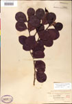 000001080-thumbnail.jpg