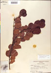 000001082-thumbnail.jpg