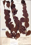 000001083-thumbnail.jpg