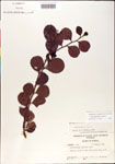 000001085-thumbnail.jpg