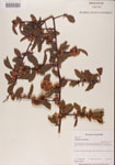 000001086-thumbnail.jpg