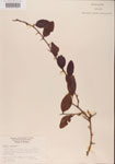 000001089-thumbnail.jpg