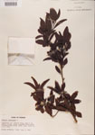 000001090-thumbnail.jpg