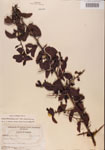 000001094-thumbnail.jpg