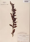 000001095-thumbnail.jpg