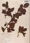 000001101-thumbnail.jpg