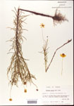 000001139-thumbnail.jpg